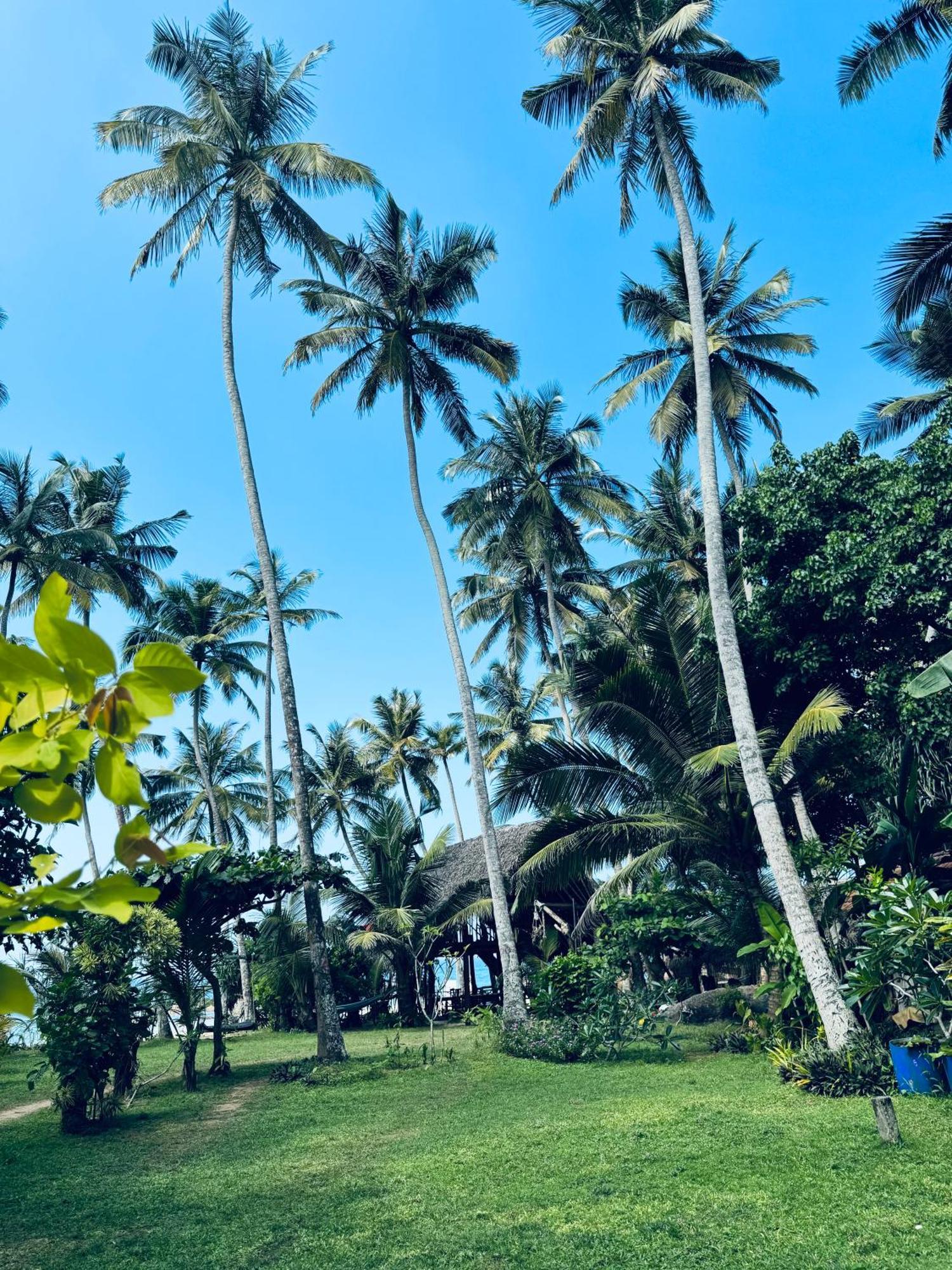 Villa La Kurumba Ambalangoda  Buitenkant foto